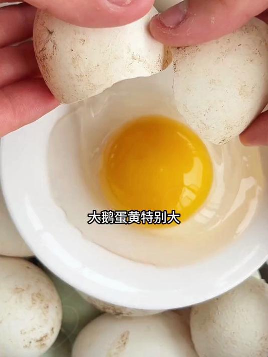 生态散养农家大鹅蛋，口感紧实不柴，蛋黄绵沙醇香，营养又好吃