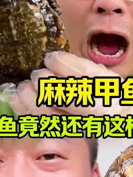 #优质视频激励计划#甲鱼也能吃了吗