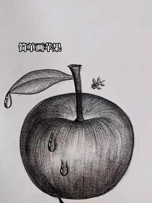 简单画苹果 画画 黑白画