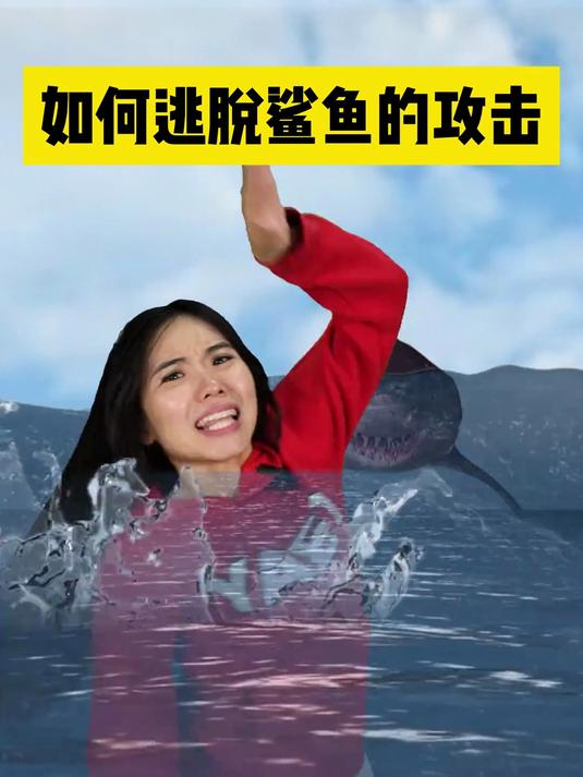 如何逃脱鲨鱼的攻击
