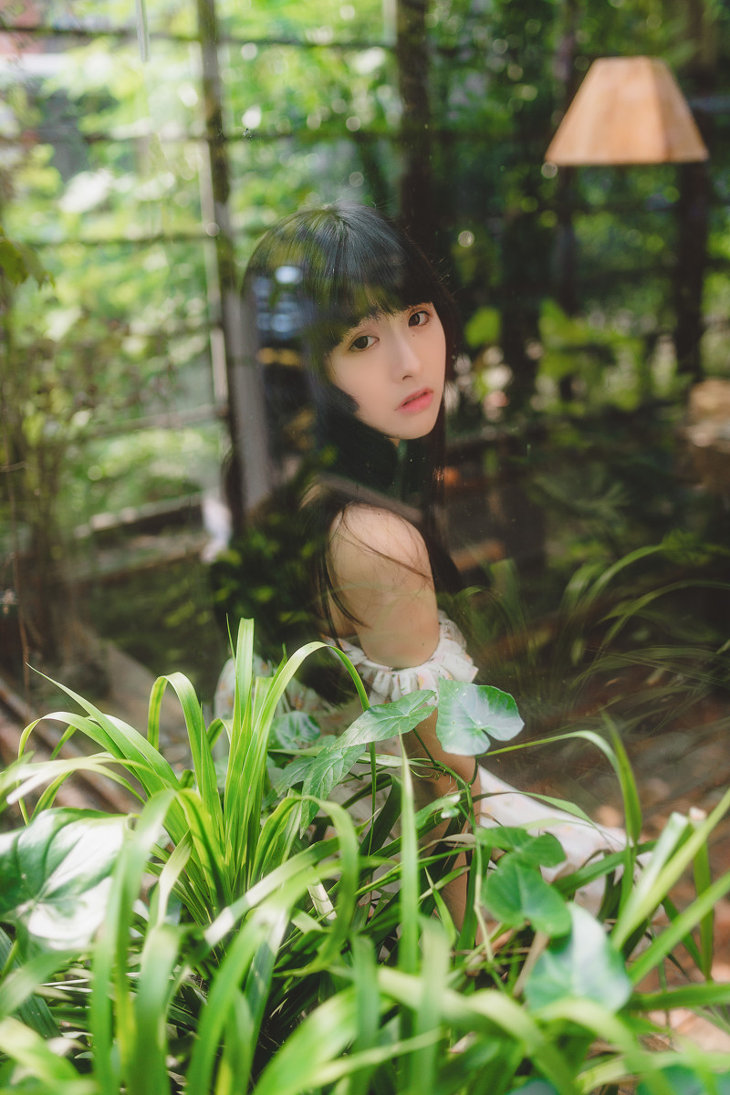 图片[27]-雏菊-六色网