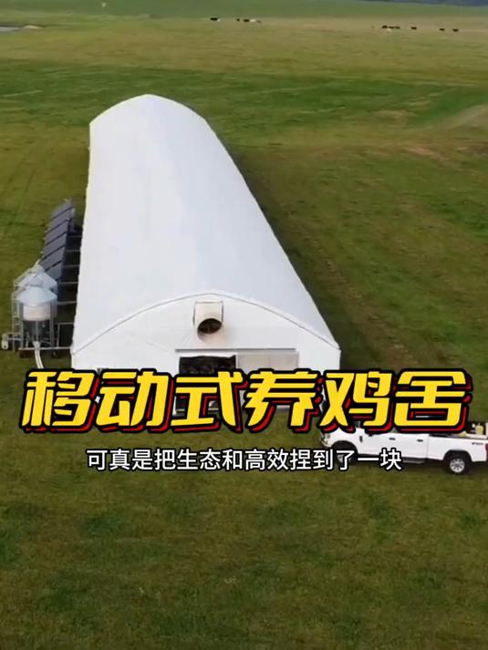 国外移动养鸡场，长见识了