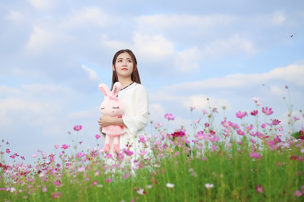 图片[25]-格桑花-六色网