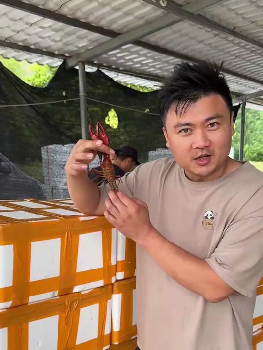 龙虾已经安排到位，打包回新化