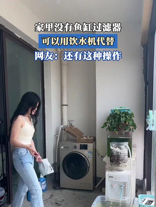 家里没有鱼缸过滤器,可以用饮水机代替