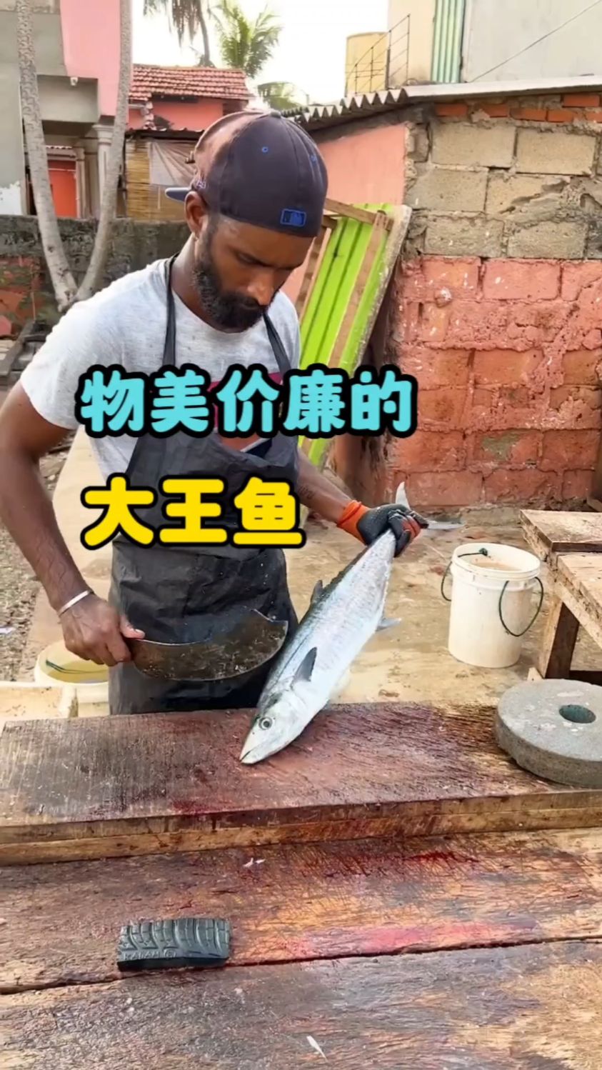 大哥不想打工,会捕鱼,小贩开了10年,专门去抓些大王鱼赚取生活费,生活勉勉强强