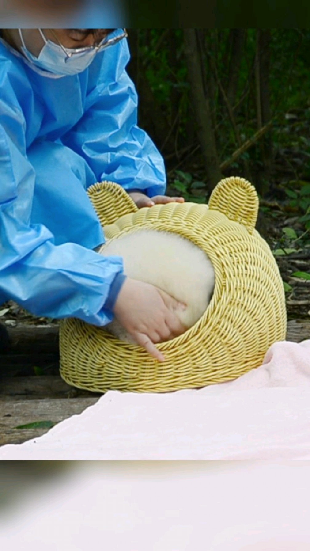 好rua!看奶妈如何制作熊猫汤圆!