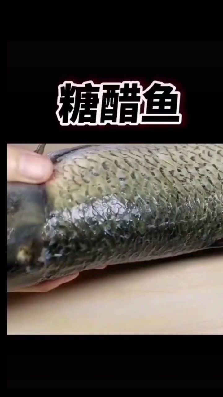 买了条大草鱼,做盘糖醋鱼,这样做是真的棒,酸甜可口,好吃美味