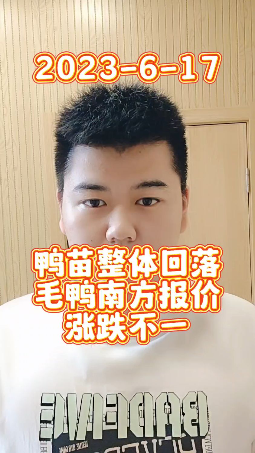 6月17日,鸭苗报价,北方回落4毛,南方鸭苗报价,回落3毛左右,市场鸭苗