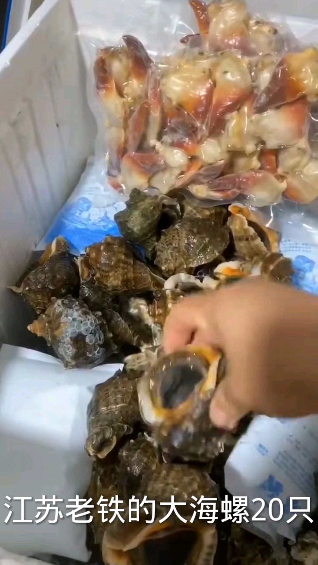 大海螺苦胆和肝不能吃,收到货一定要记住