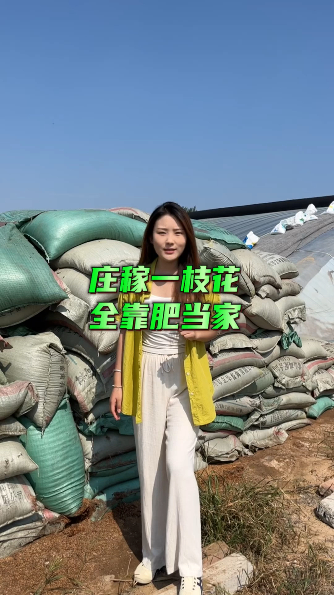 稻壳鸡粪可以改良土壤板结 提高土壤透气性