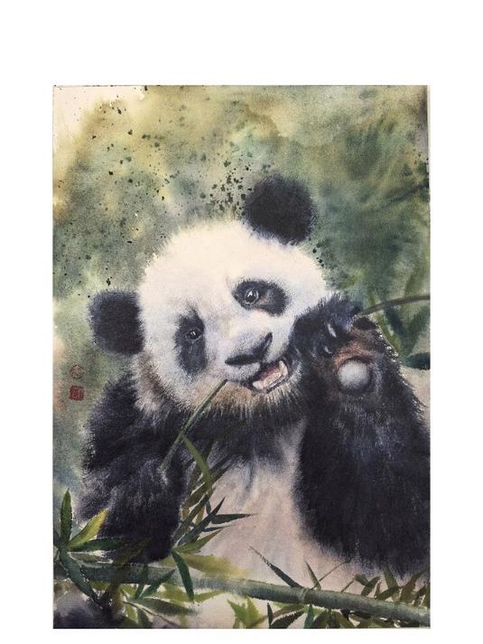 沉浸在画猫猫狗狗的世界里——秋遇水彩画可爱大熊猫
