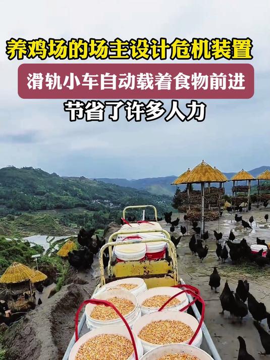 养鸡场的场主设计危机装置,滑轨小车自动载着食物前进