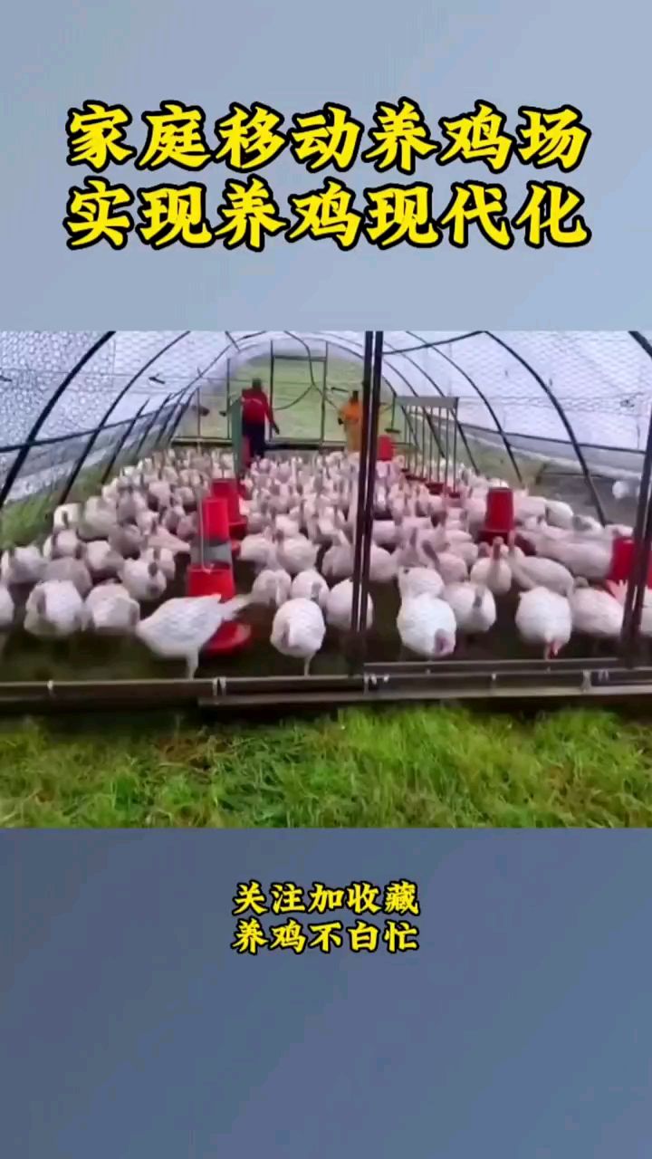 家庭移动养鸡场实现养鸡现代化