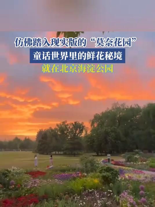 仿佛踏入现实版的,“莫奈花园”,童话世界里的鲜花秘境!