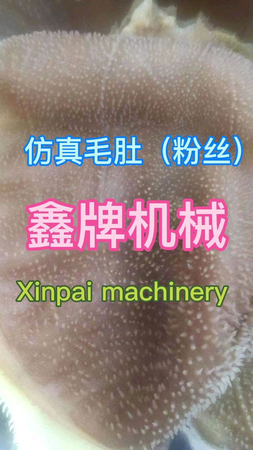 #仿真毛肚生产线#仿真毛肚机械#仿真毛肚设备#素毛肚机械#素毛肚设备#素毛肚生产线#
