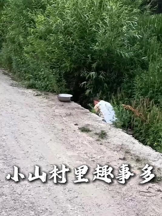 今天大东给抓的白漂子鱼,油炸上了