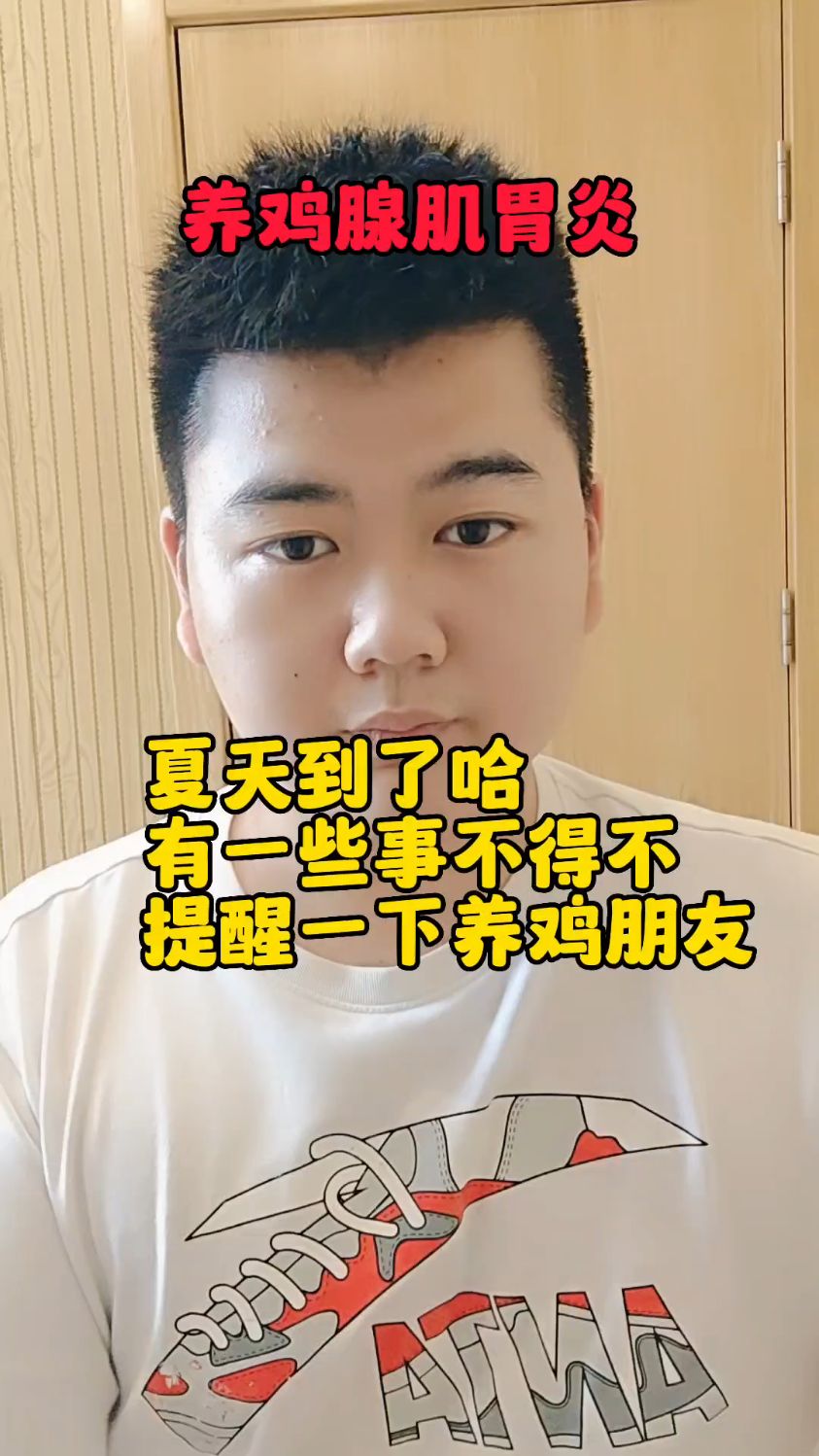 #鸡腺肌胃炎什么症状小鸡腺肌胃炎怎么引起的鸡腺肌胃炎发病的原因鸡腺胃炎和肌胃炎的区