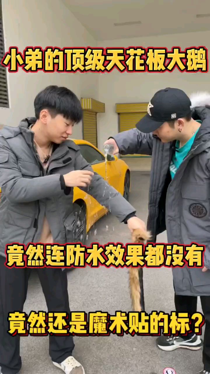 加拿大鹅黑标羽绒服路人评测