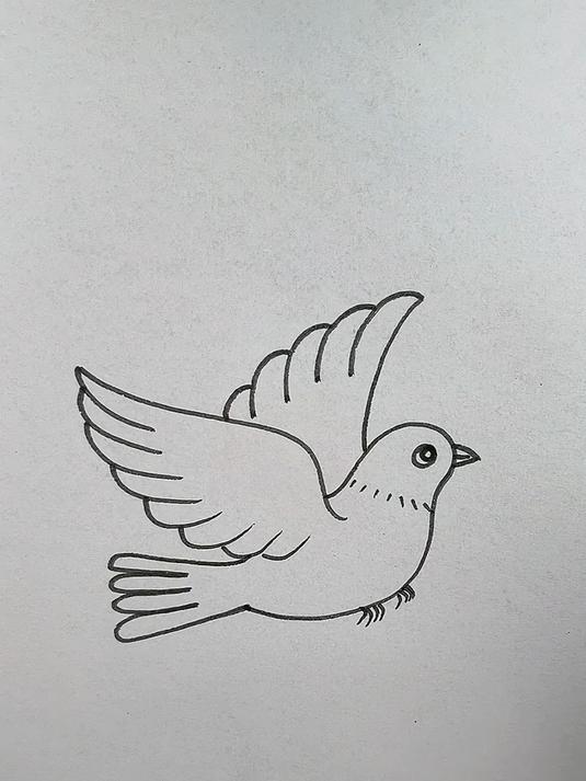 简单几笔，画出飞翔的鸽子