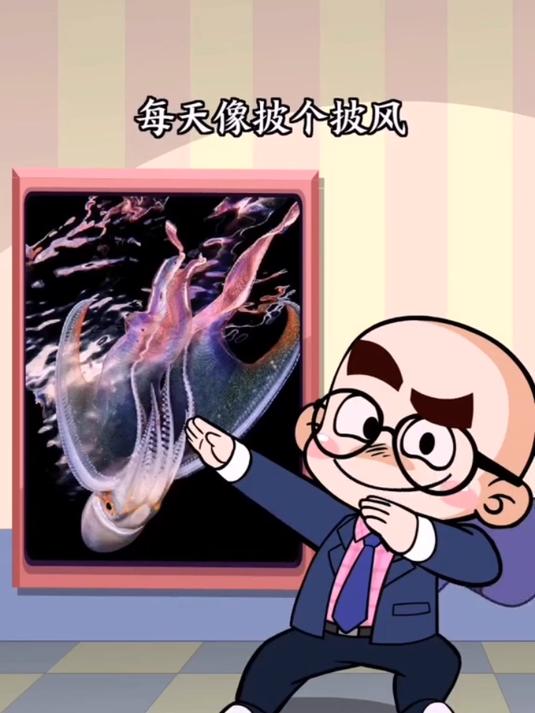 唐唐冷知识：毯子章鱼的搞笑行为神盘点，第三个是真的极品！
