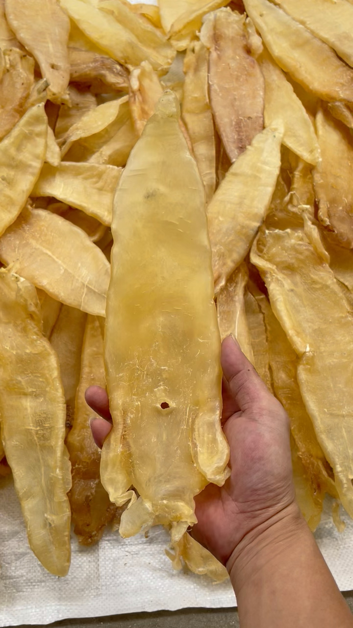 巴西北海胶,平均一个半斤,短身厚肉A货,货源十足干北海属于大众认可质量非常不错