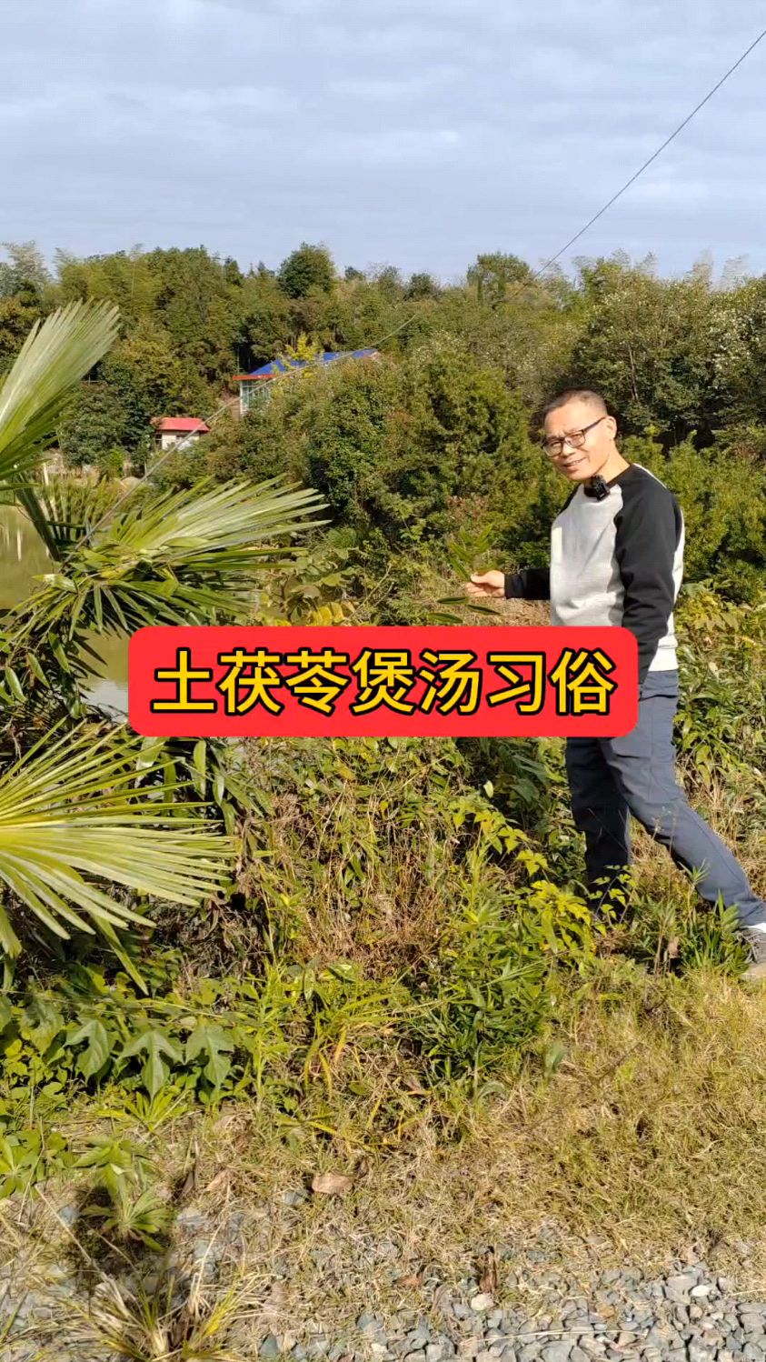 土茯苓煲汤习俗的由来
