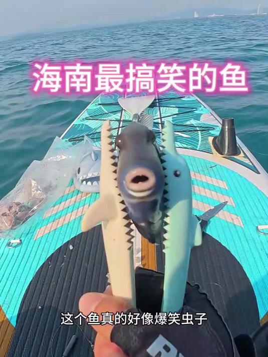 今天在像是在水族馆钓鱼,好多品种都露脸打卡了
