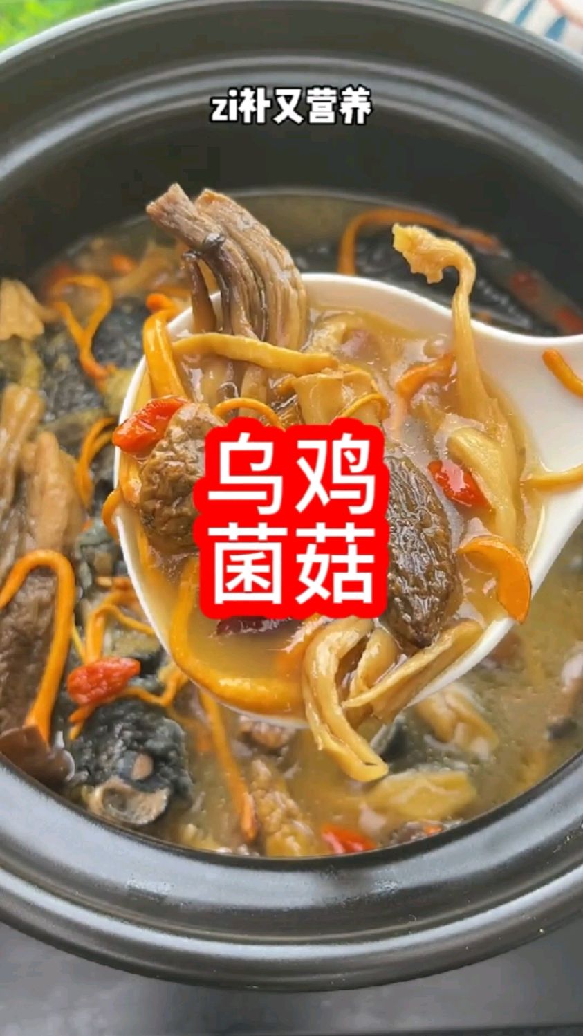 七彩菌菇乌鸡汤