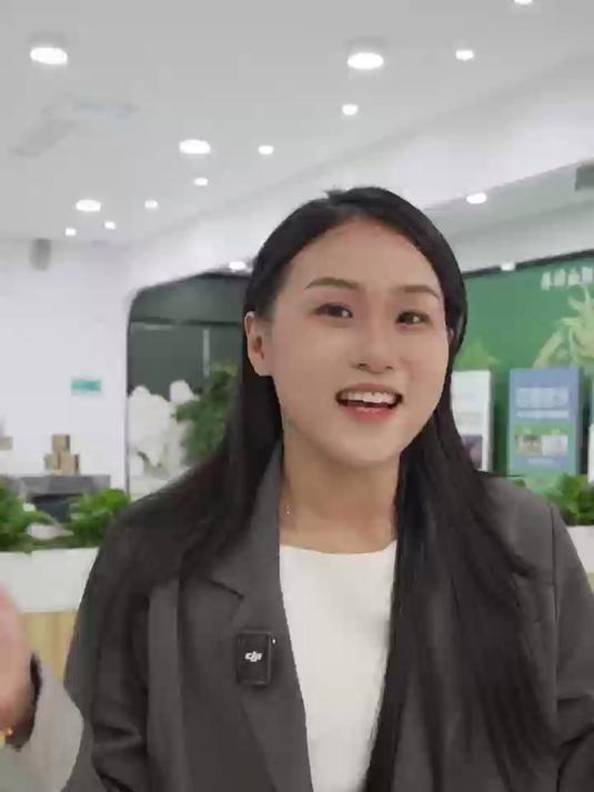 山药茯苓粉融合千年药食智慧与现代营养科学