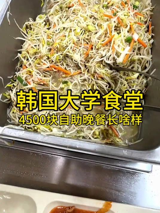 第17集|韩国大学食堂4500块自助午餐长啥样?