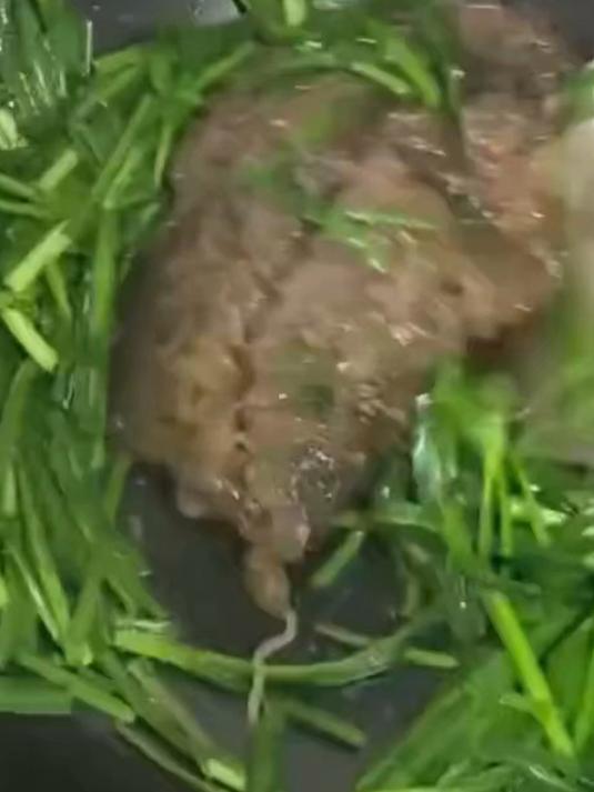 女子做韭菜炒粉丝,结果粉丝全部粘在一坨