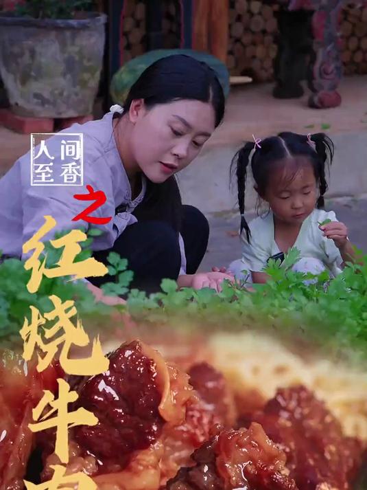 红烧牛肉 完美复刻出电视广告里的红烧牛肉面，简直香得停不下口。