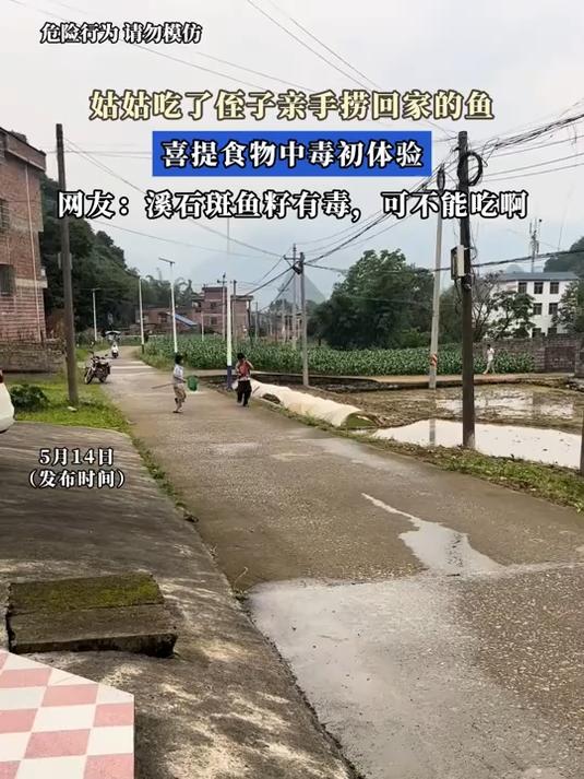 姑姑吃了侄子亲手捞回家的鱼，喜提食物中毒初体验 网友：溪石斑鱼籽有毒，可不能吃啊#金榜同行