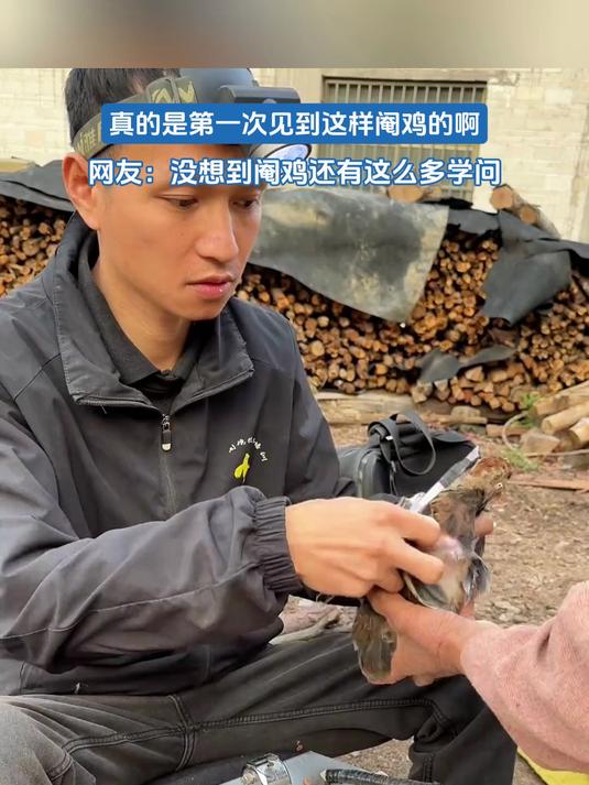 真的是第一次见到这样阉鸡的啊