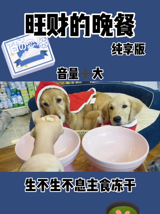 哇！又是美好精致的一天