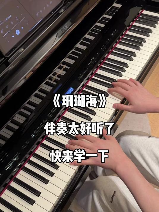 海鸟跟鱼相爱~只是一场意外