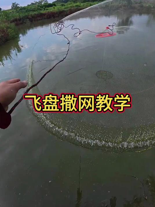 完整的飞盘撒网教学