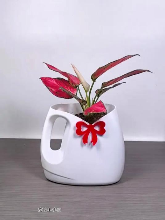 洗衣液瓶做简易花盆