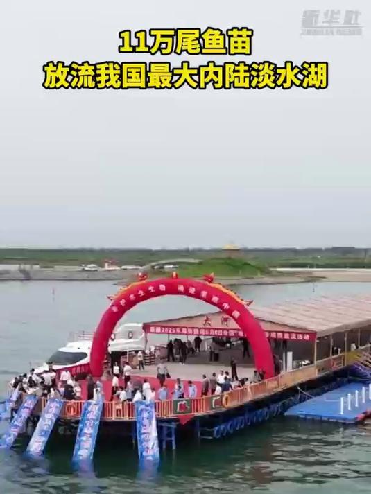 11万尾鱼苗放流我国最大内陆淡水湖
