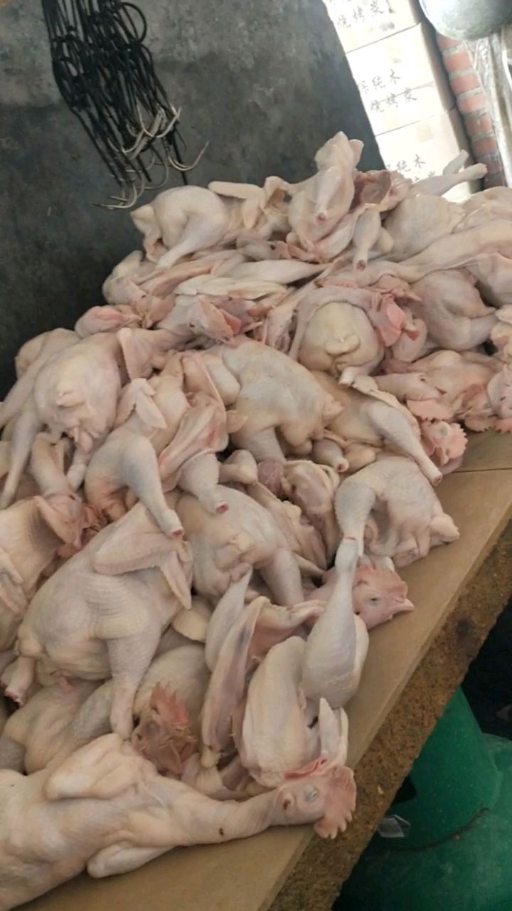 全部都是做太和脆皮烧鸡的,一个人一天做的量,就问你们怕不怕?