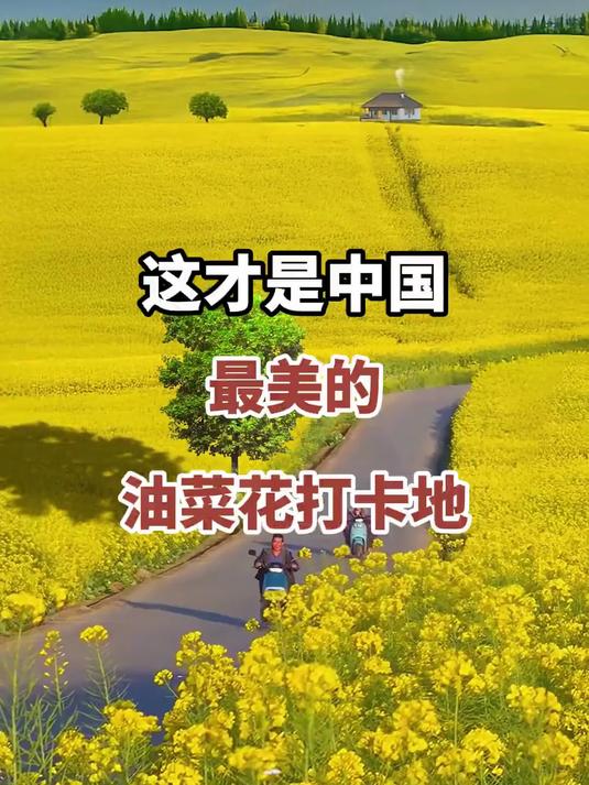 这才是中国最美的油菜花打卡地
