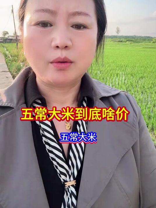 五常大米熬红枣小米粥!红枣甜混米香,绵密暖身