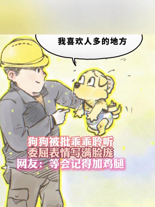 狗狗被批乖乖聆听 委屈表情写满脸庞 网友:等会记得加鸡腿