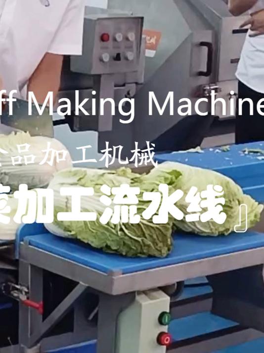 净菜加工流水线是如何加工叶菜的 全自动净菜加工生产线