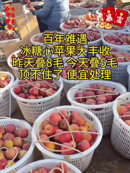 新疆阿克苏的冰糖心苹果每一个都带有冰糖心吃起来又脆又甜#年货节#