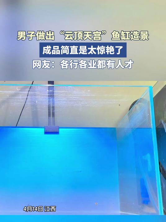男子做出“云顶天宫”鱼缸造景,成品简直是太惊艳了