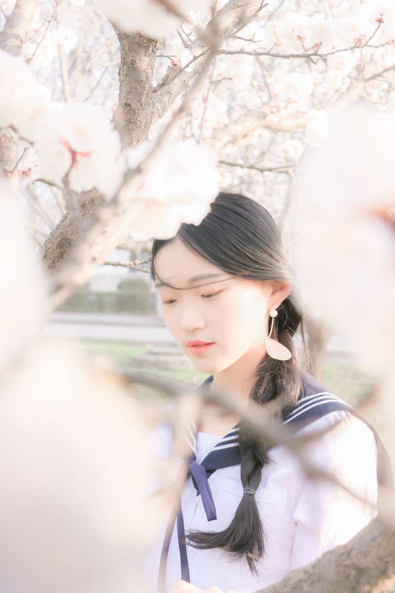 图片[11]-落樱少女-六色网