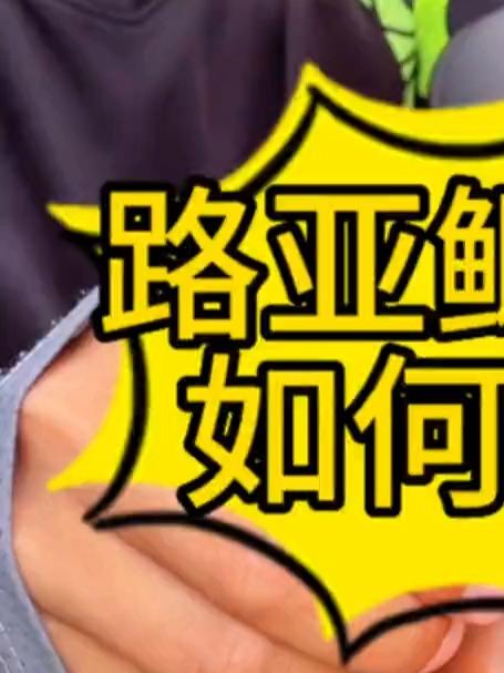 路亚鲫鱼路亚鲤鱼这套线组如何实现定点钓