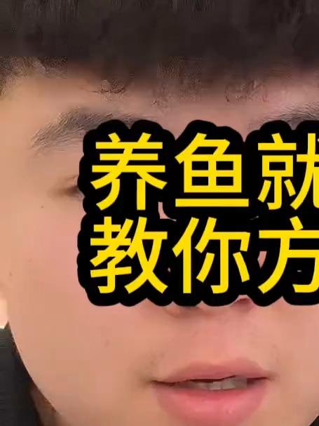 养鱼就怕白点病叫你方法解决它